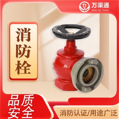 广西优惠直发室内消防栓 DN50/65室内消防栓 球墨铸铁消火栓