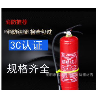 4kg干粉灭火器手提式ABC灭火器家用车用仓库1kg2kg3kg5kg生产